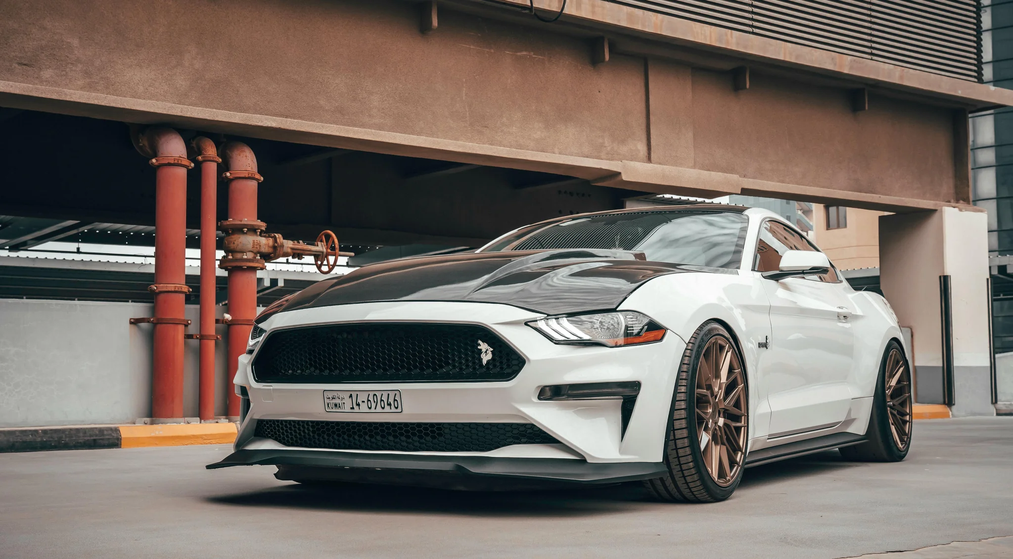 Speed and motion visualization